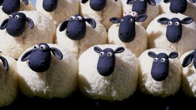 Des moutons de panurge qui suivent sans reflechir